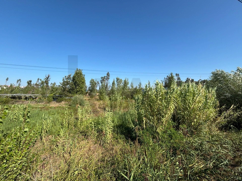 Terreno para Venda em Marrazes e Barosa Foto 10