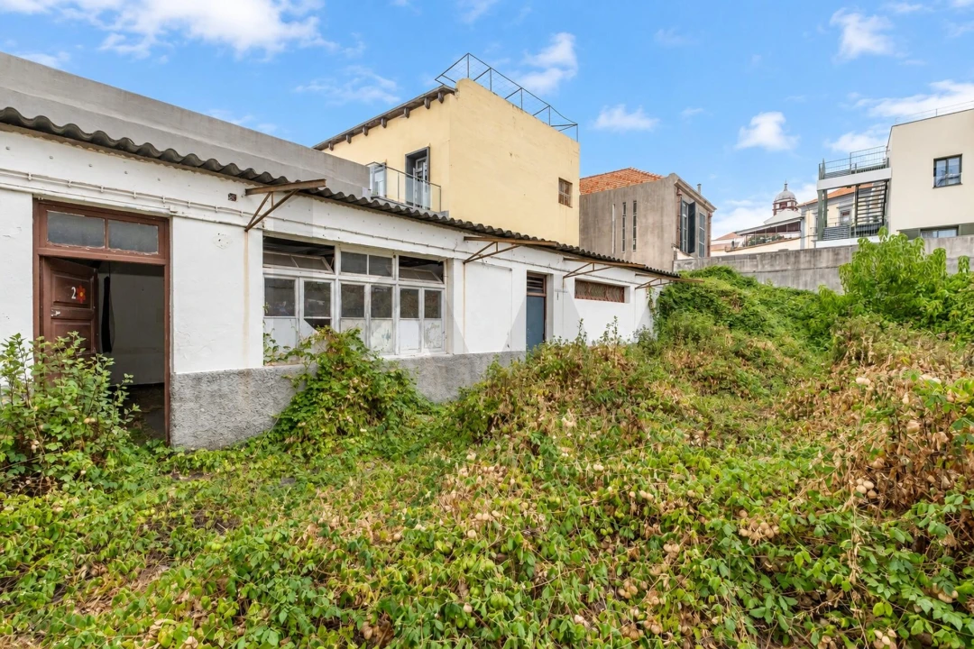 Prédio para Venda em Funchal (São Pedro) Foto 14
