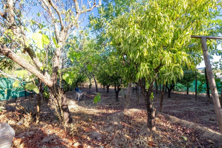 Moradia T2 para Venda em Algoz e Tunes Foto 64