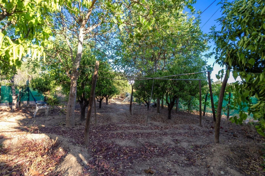 Moradia T2 para Venda em Algoz e Tunes Foto 65
