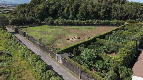 Terreno para Venda em Rabo de Peixe
