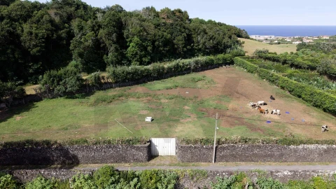 Terreno para Venda em Rabo de Peixe