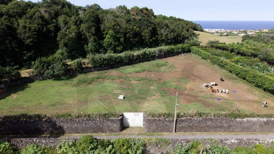 Terreno para Venda em Rabo de Peixe Foto 13