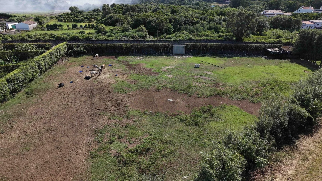 Terreno para Venda em Rabo de Peixe Foto 12