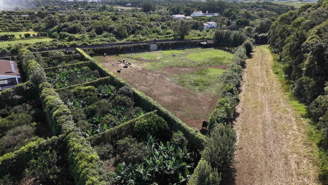 Terreno para Venda em Rabo de Peixe Foto 11