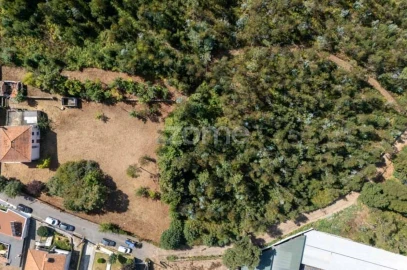 Quinta T8 para Venda em Alvarelhos e Guidões
