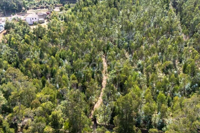 Quinta T8 para Venda em Alvarelhos e Guidões Foto 31
