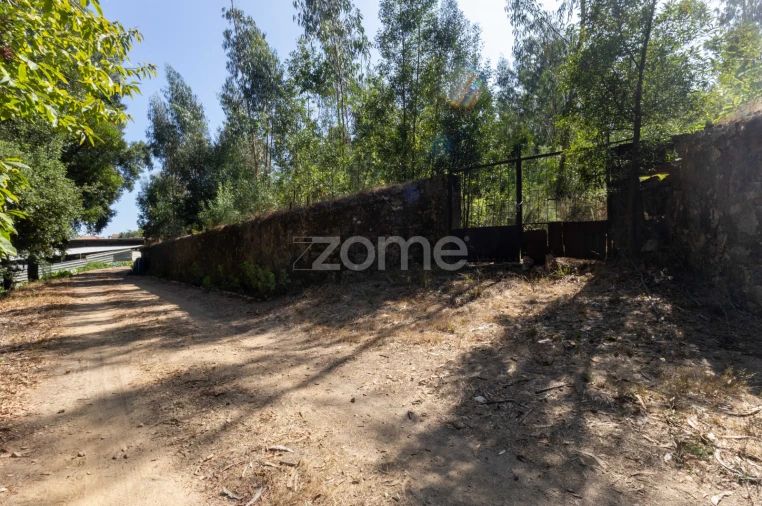 Quinta T8 para Venda em Alvarelhos e Guidões Foto 30