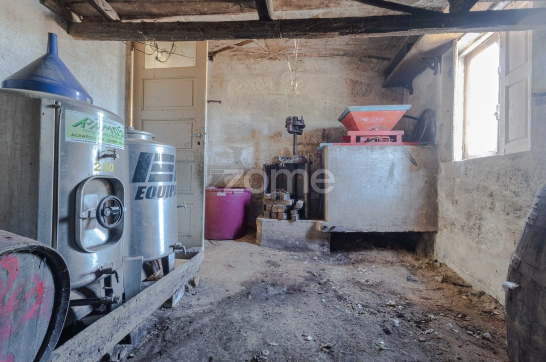 Quinta T8 para Venda em Alvarelhos e Guidões Foto 15