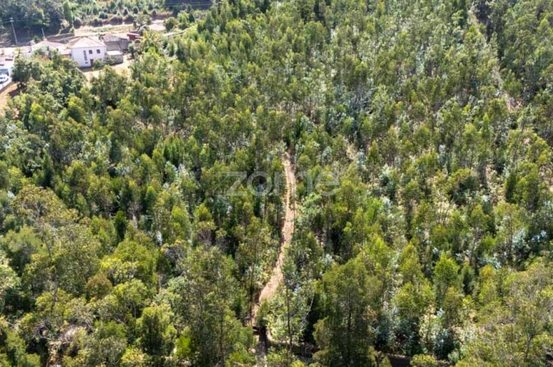 Quinta T8 para Venda em Alvarelhos e Guidões Foto 31