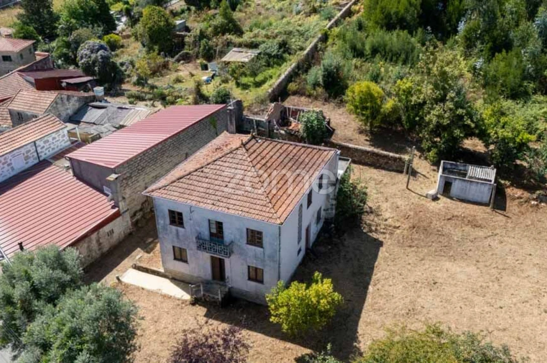 Quinta T8 para Venda em Alvarelhos e Guidões Foto 5