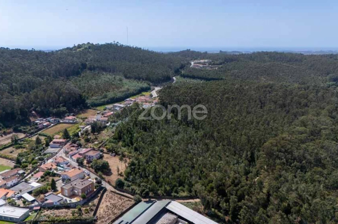 Quinta T8 para Venda em Alvarelhos e Guidões Foto 34