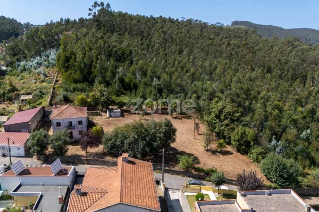 Quinta T8 para Venda em Alvarelhos e Guidões Foto 38