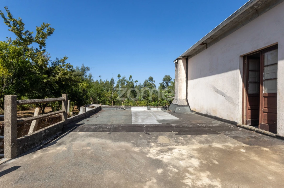 Quinta T8 para Venda em Alvarelhos e Guidões Foto 28