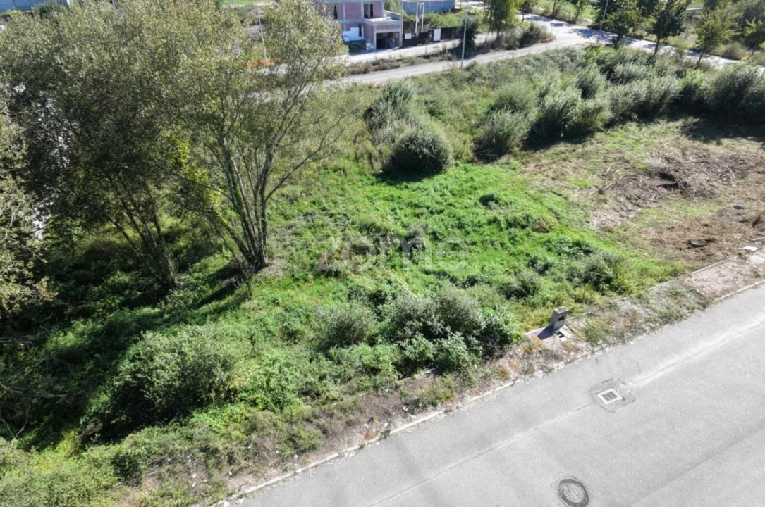 Terreno para Venda em Palmeira Foto 4