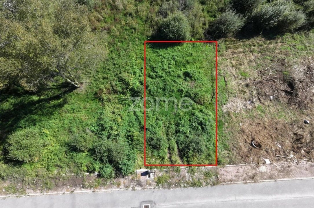 Terreno para Venda em Palmeira Foto 2