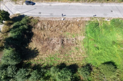 Terreno para Venda em Palmeira