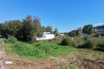 Terreno para Venda em Palmeira