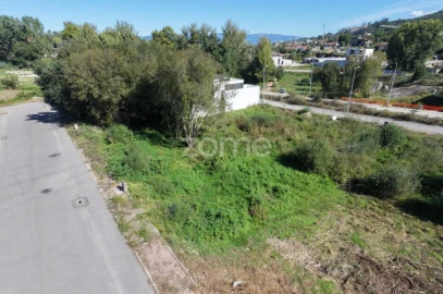Terreno para Venda em Palmeira