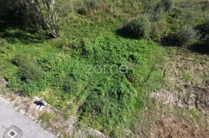 Terreno para Venda em Palmeira