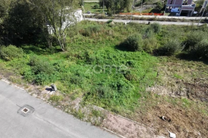 Terreno para Venda em Palmeira