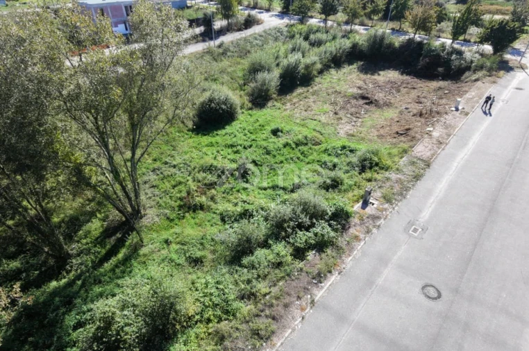 Terreno para Venda em Palmeira Foto 5