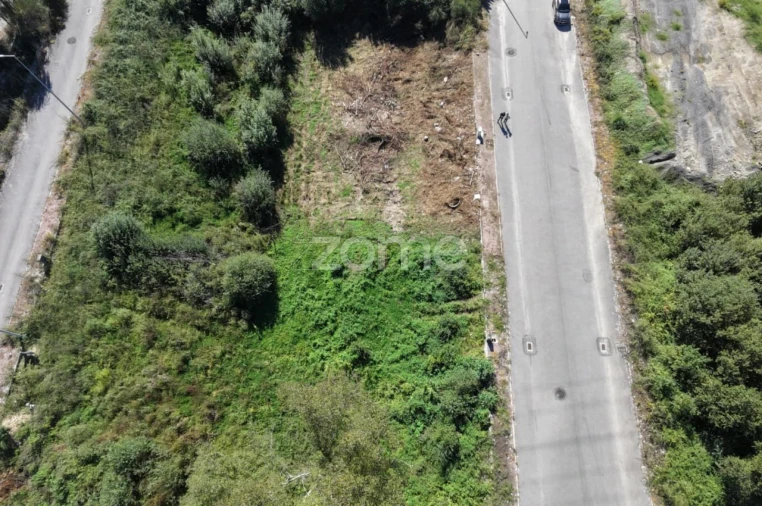 Terreno para Venda em Palmeira Foto 6