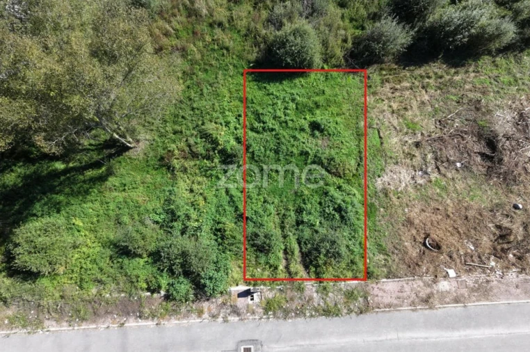 Terreno para Venda em Palmeira Foto 2