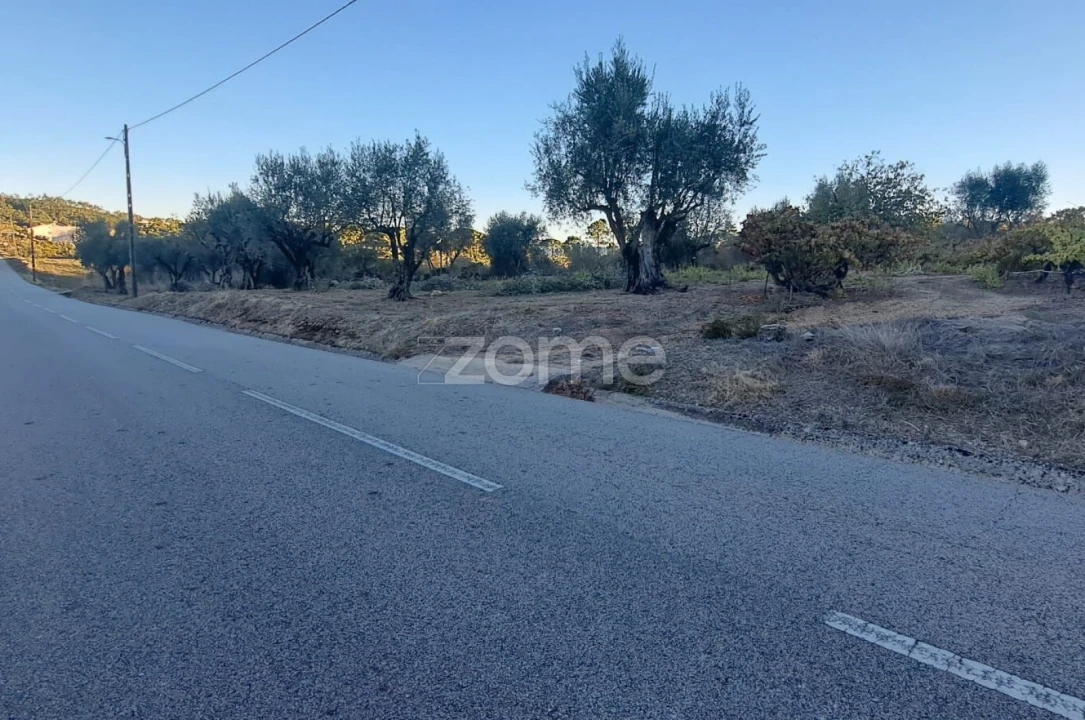 Terreno para Venda em Almalagues Foto 10