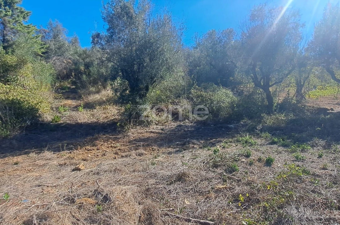 Terreno para Venda em Almalagues Foto 2