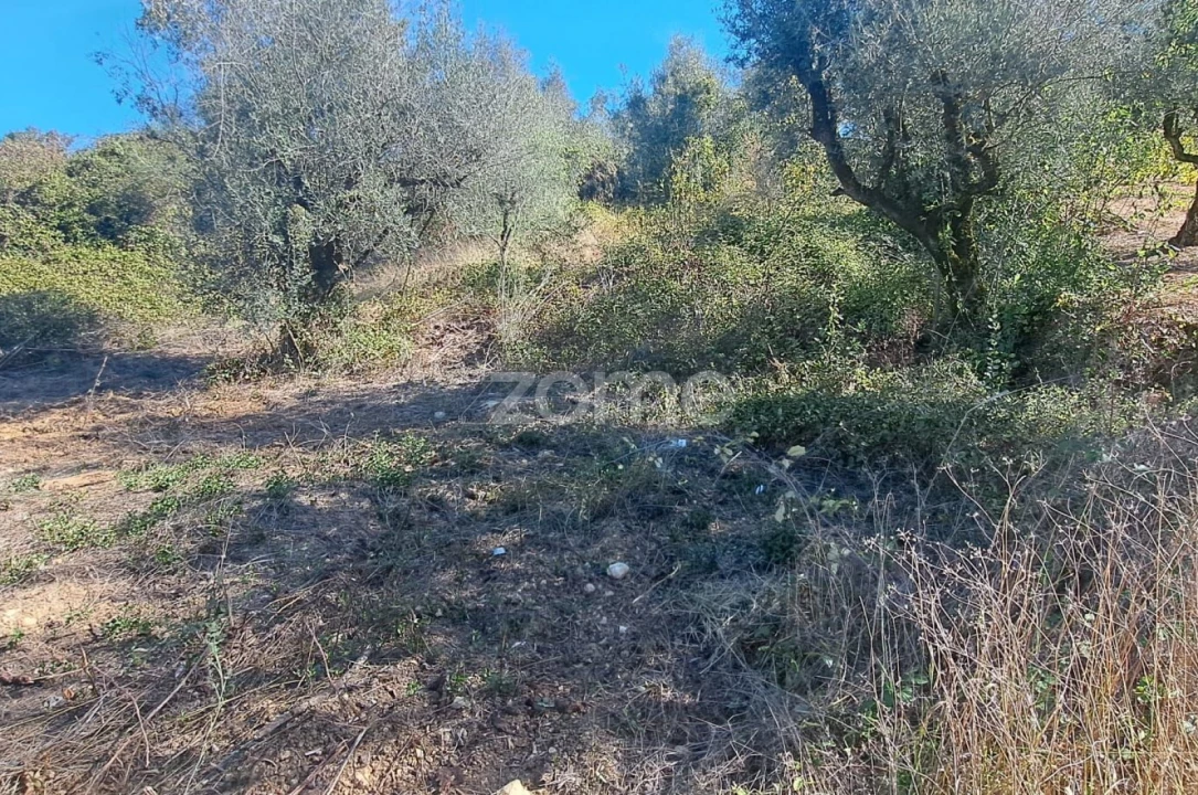 Terreno para Venda em Almalagues Foto 8