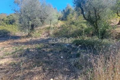 Terreno para Venda em Almalagues