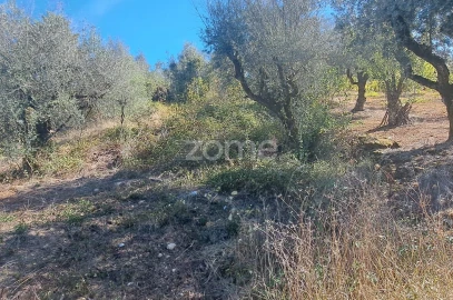 Terreno para Venda em Almalagues