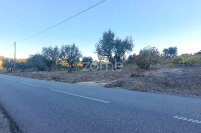 Terreno para Venda em Almalagues