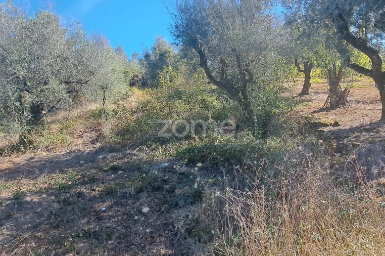 Terreno para Venda em Almalagues Foto 7