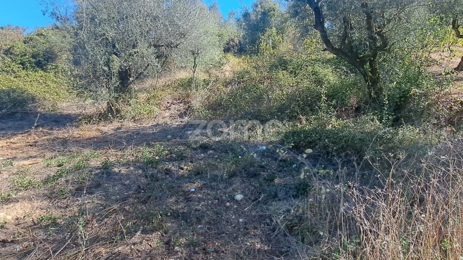 Terreno para Venda em Almalagues