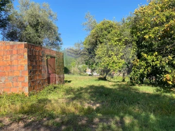 Terreno para Venda em Silva Escura e Dornelas