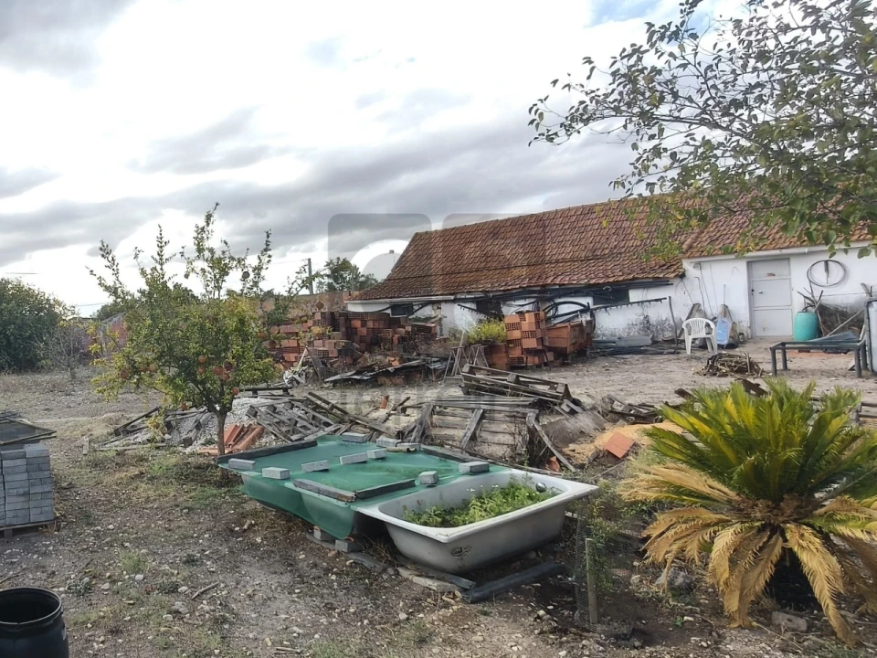 Moradia T2 para Venda em Alpiarça Foto 4