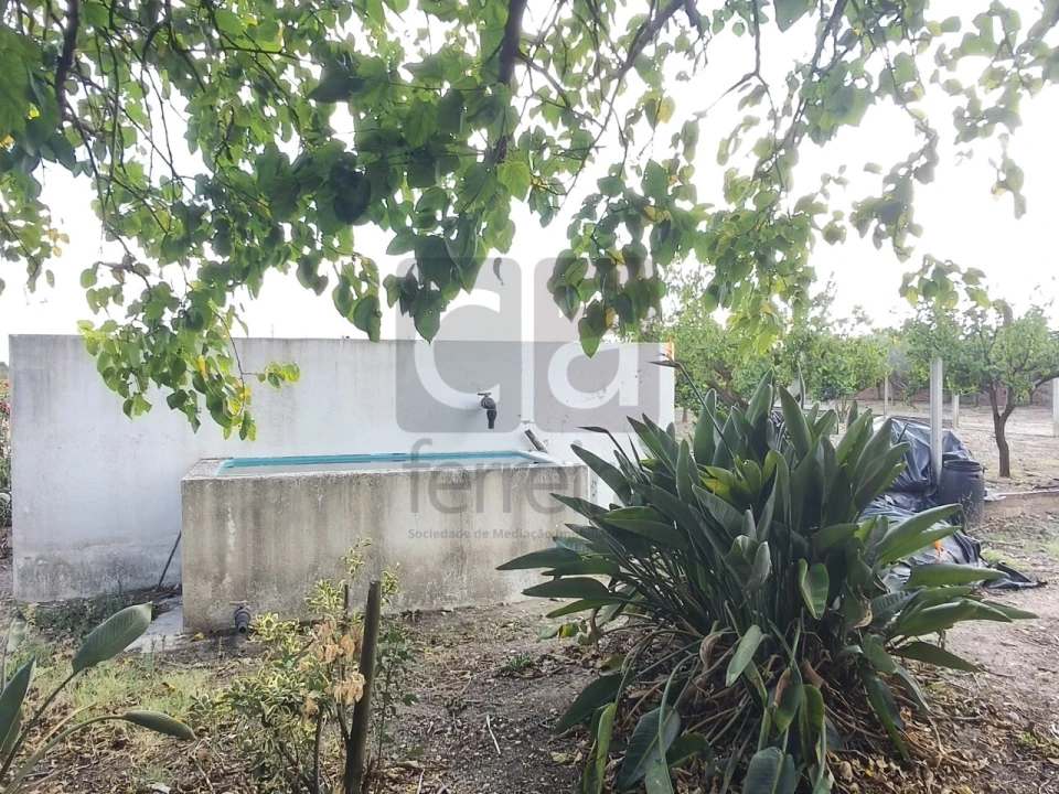 Moradia T2 para Venda em Alpiarça Foto 29