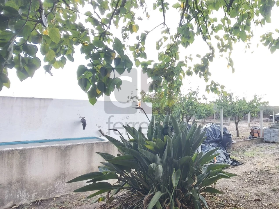 Moradia T2 para Venda em Alpiarça Foto 31