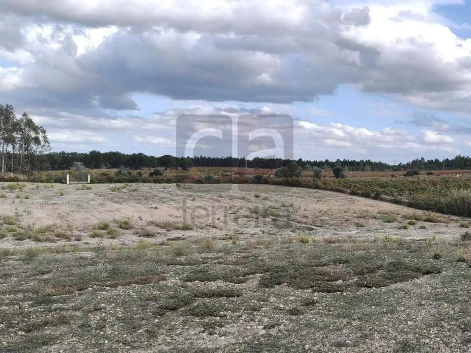 Moradia T2 para Venda em Alpiarça Foto 35