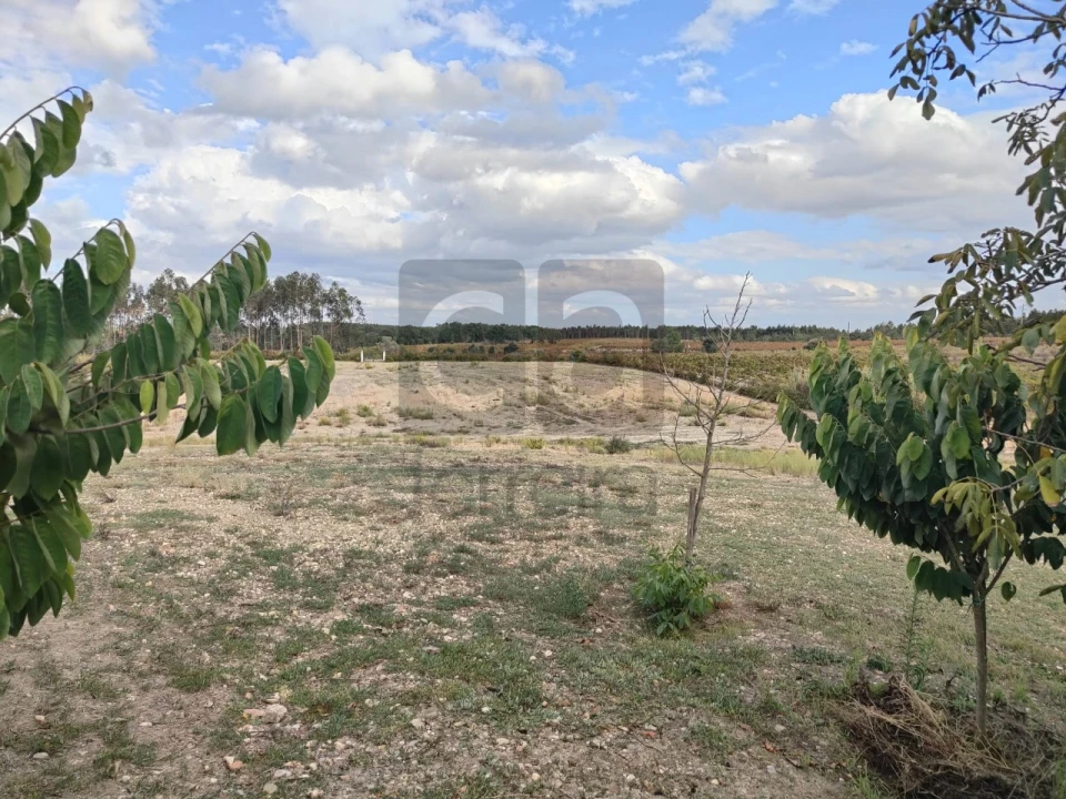 Moradia T2 para Venda em Alpiarça Foto 40
