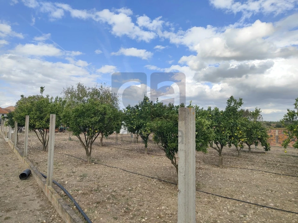 Moradia T2 para Venda em Alpiarça Foto 47