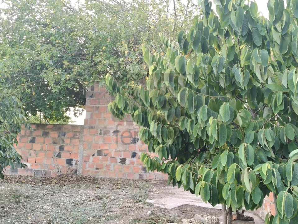 Moradia T2 para Venda em Alpiarça Foto 56
