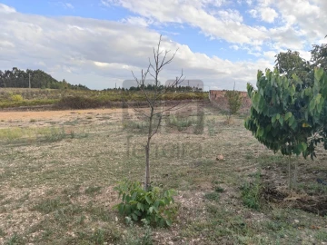 Moradia T2 para Venda em Alpiarça