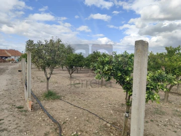 Moradia T2 para Venda em Alpiarça