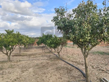 Moradia T2 para Venda em Alpiarça