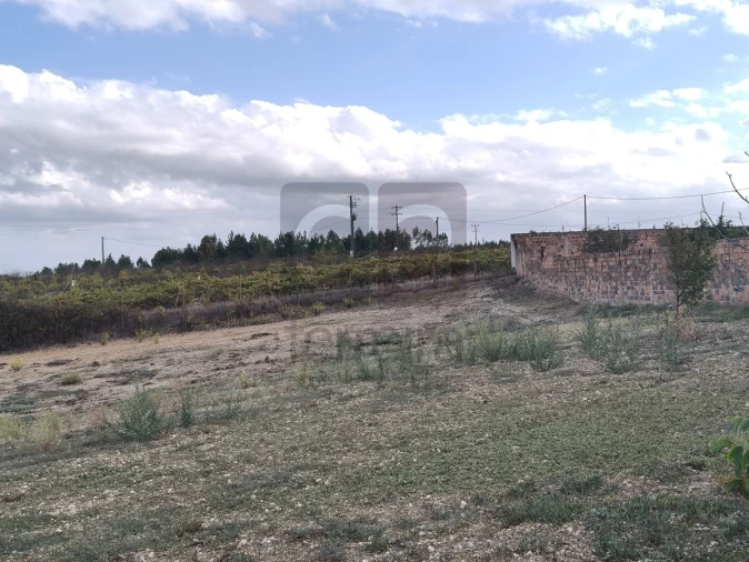 Moradia T2 para Venda em Alpiarça Foto 37