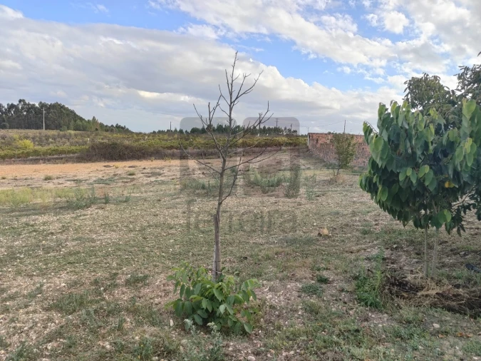 Moradia T2 para Venda em Alpiarça Foto 39