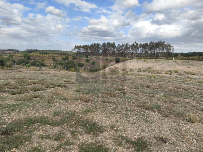 Moradia T2 para Venda em Alpiarça Foto 41